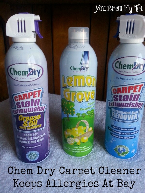 Chem Dry Carpet Cleaner Keeps Allergies At Bay