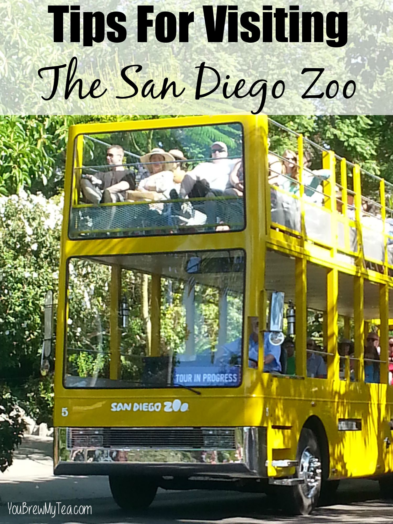 https://www.youbrewmytea.com/wp-content/uploads/2015/07/Tips-For-Visiting-The-San-Diego-Zoo.jpg