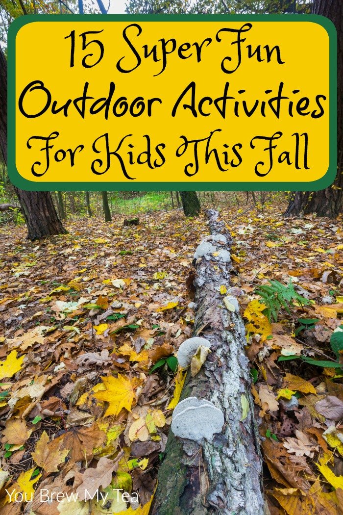 15 Fun Outdoor Activities For Kids This Fall - You Brew My Tea